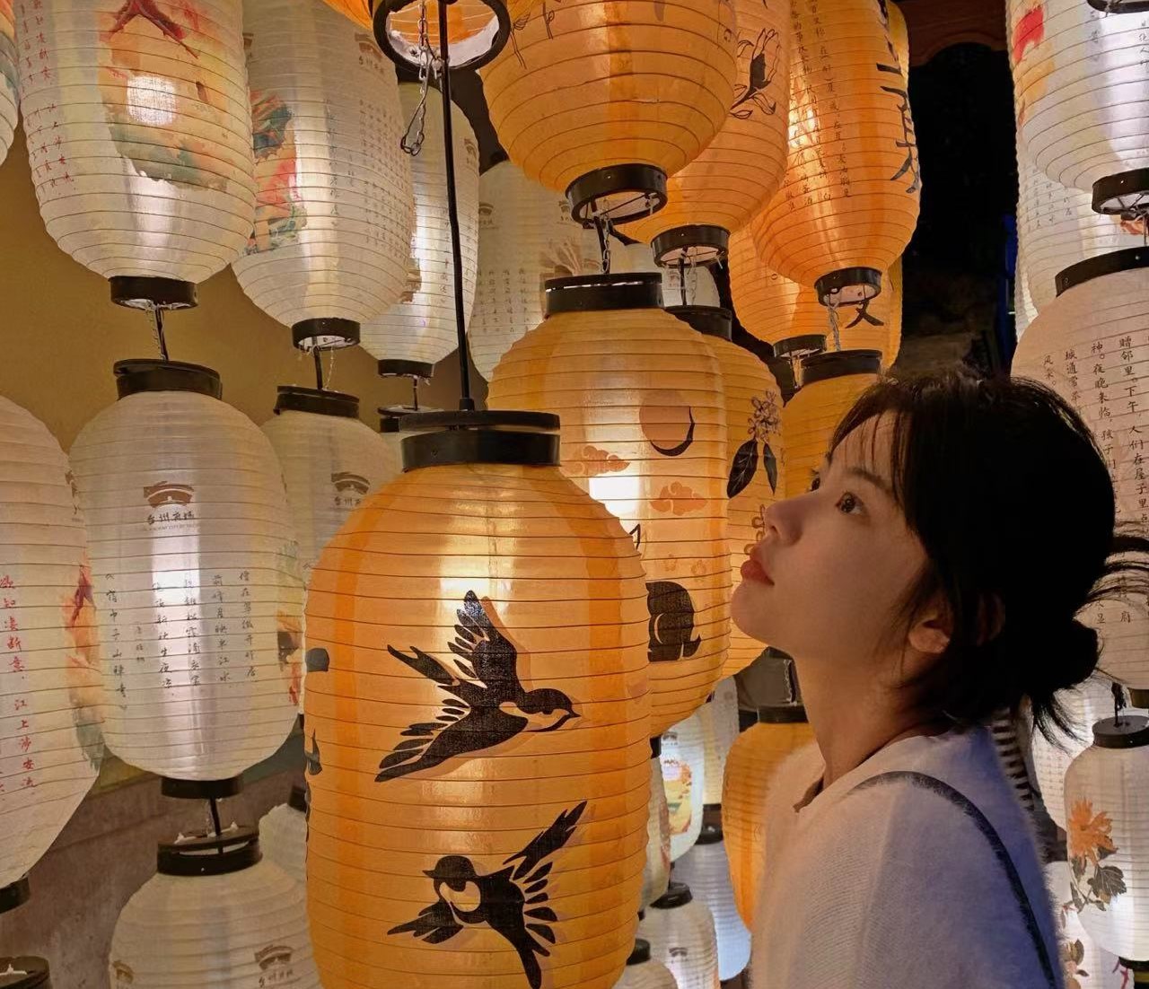 轩轩的头像